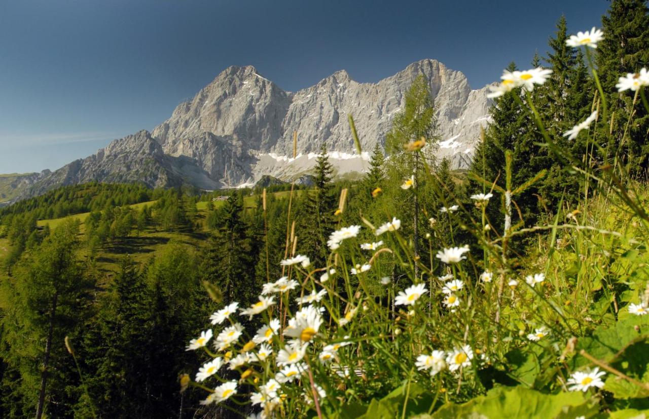 Ferienwohnung Haus LandArt Schladming Exterior foto